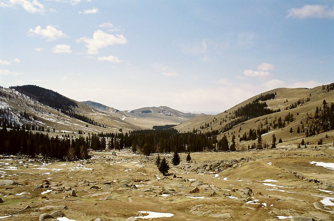 A protected park keeps wild forests and mountains safe.