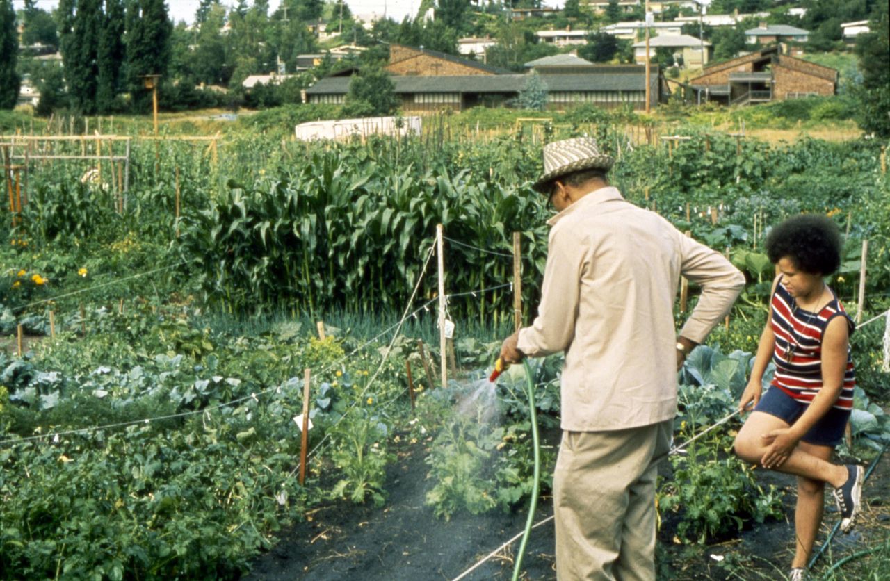 Sustainable Living