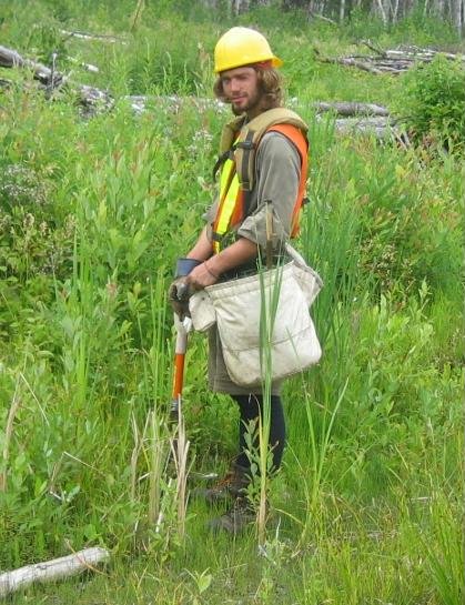 Tree Planting