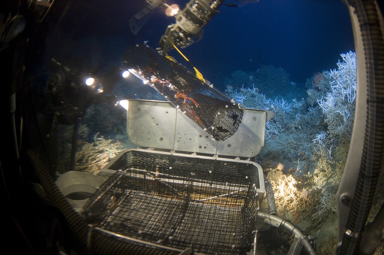 Deep Sea Exploration