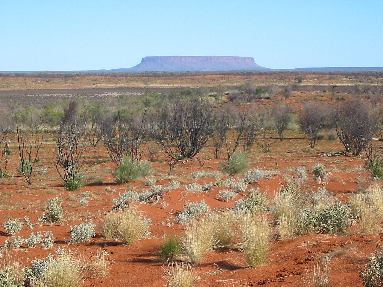 Red dirt and low bushes cover Australia's wild Outback.