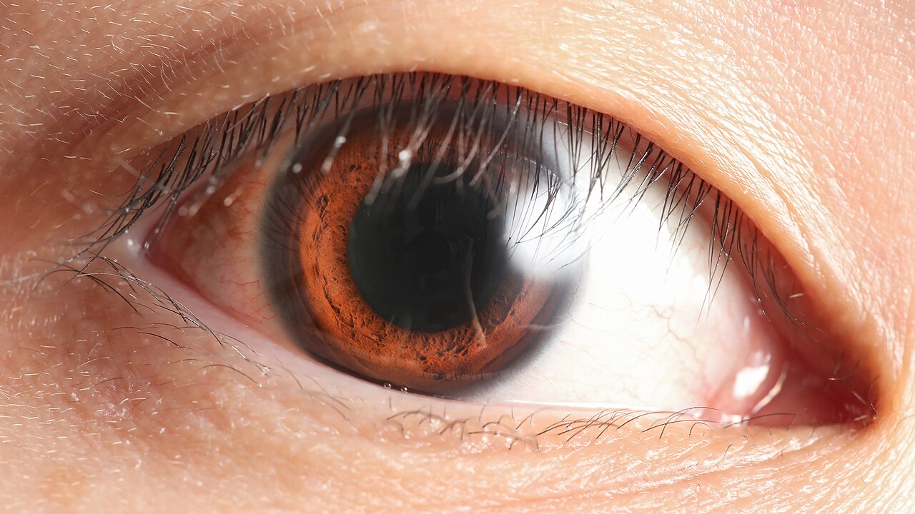 A close-up of a brown human eye and its pupil.