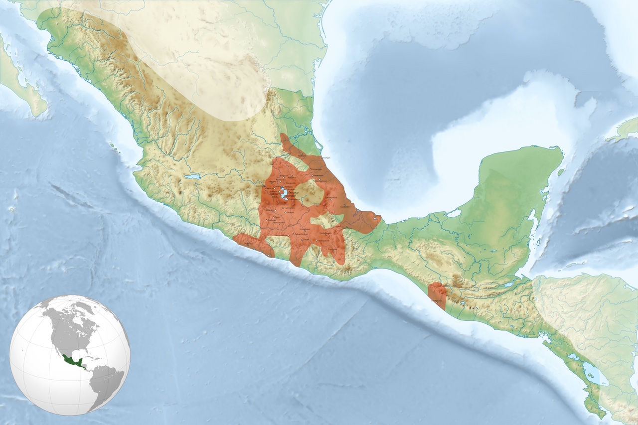 The Aztecs