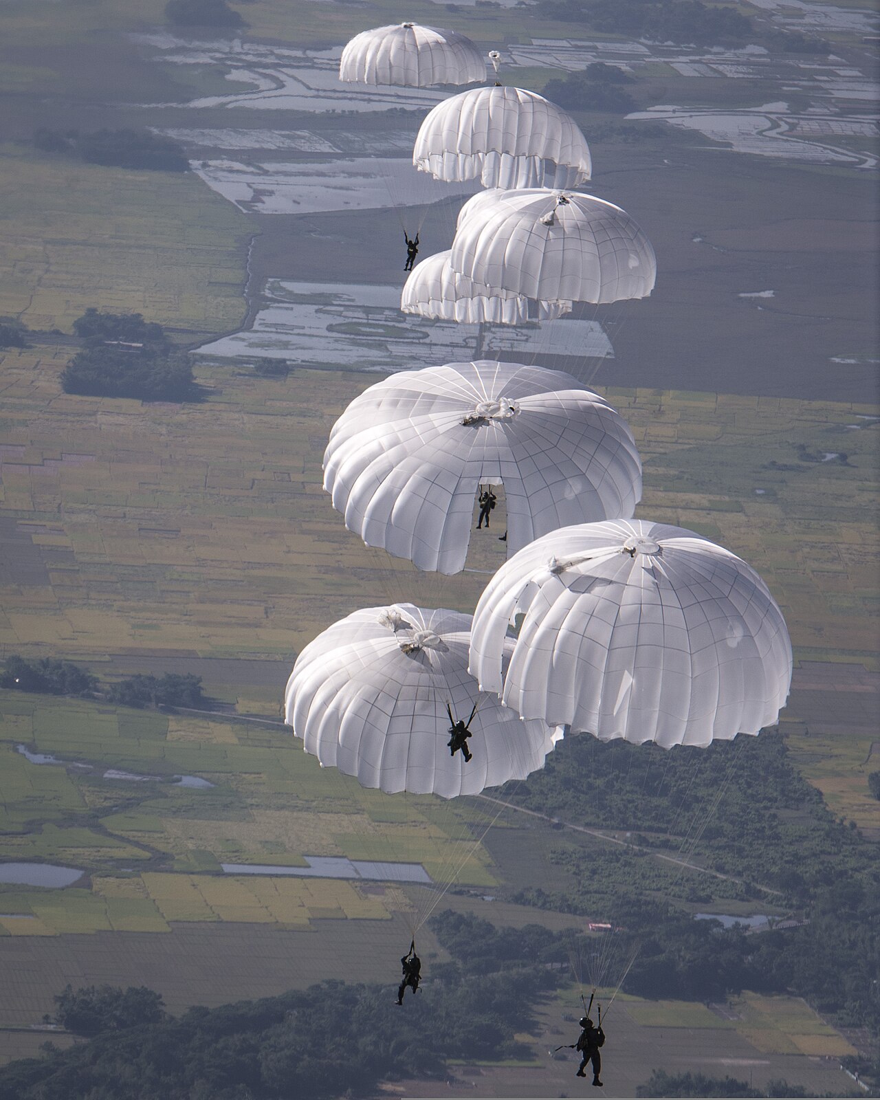 Skydivers leaping from a plane with parachutes open.