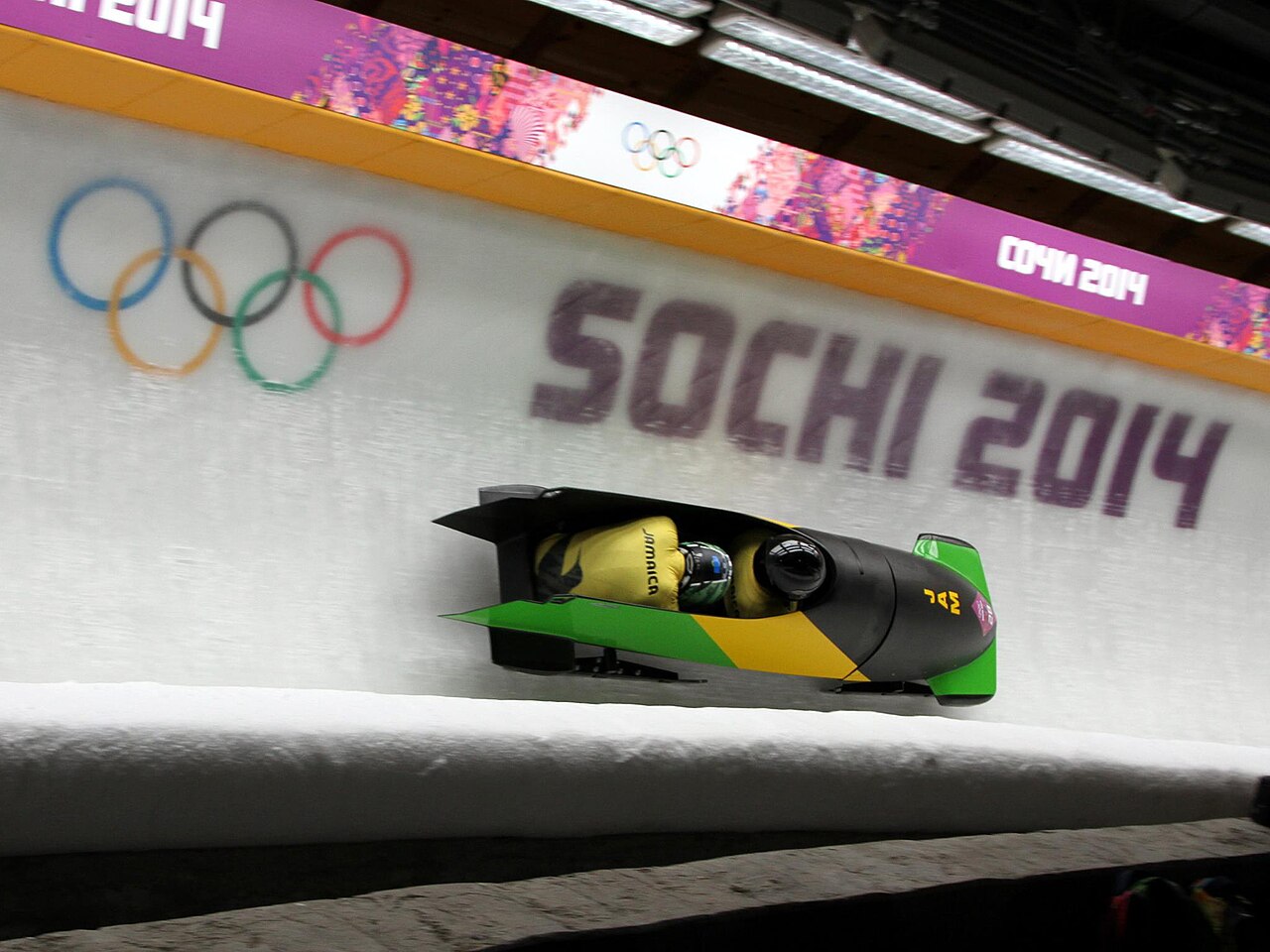 Two teammates zoom down the icy track in a speedy bobsled.